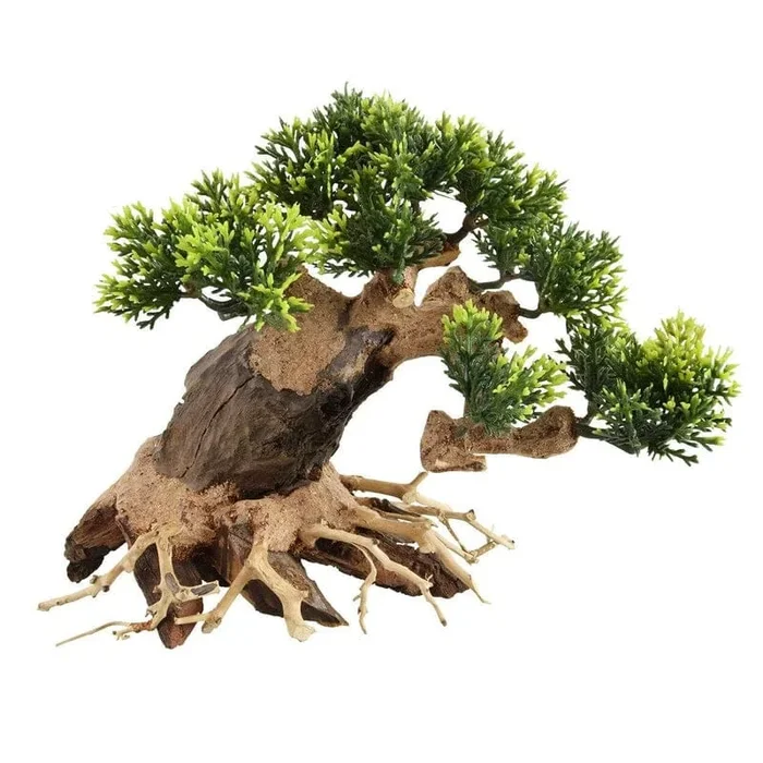 Underwater Treasures Heart Bonsai Wood – Medium