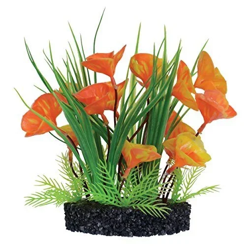 Underwater Treasures Luna Lily Bush – 7″