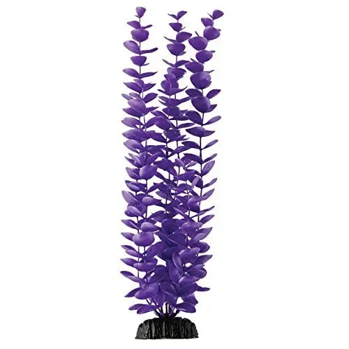 Underwater Treasures Magenta Bacopa – 14.5″