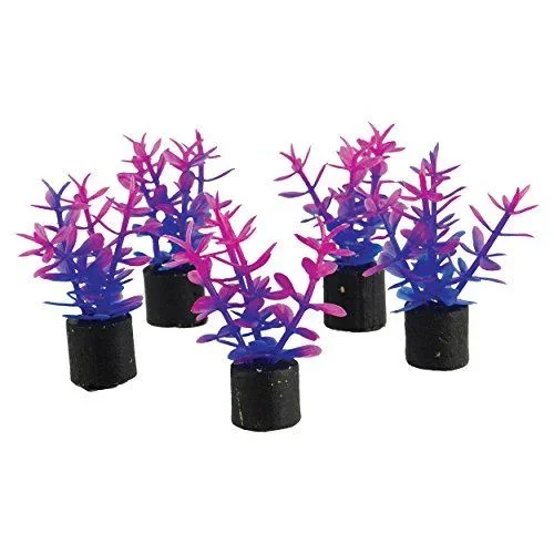 Underwater Treasures Mini Plant – Violet – 1.5″ – 5 pk