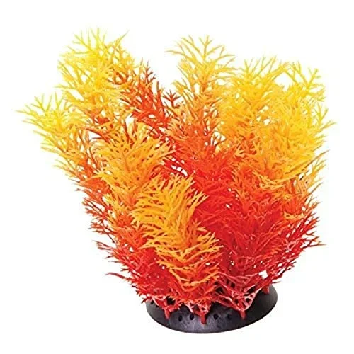 Underwater Treasures Orange Cabomba – 6″