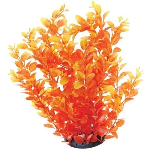 Underwater Treasures Orange Cardamine – 12″