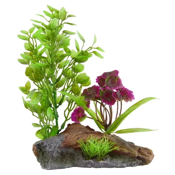 Underwater Treasures Purple Flowers On Root