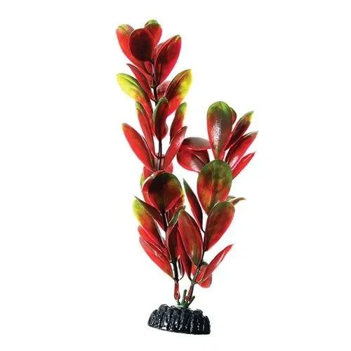 Underwater Treasures Red/Green Bacopa – 8″