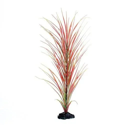 Underwater Treasures Red/Green Hairgrass – 20″