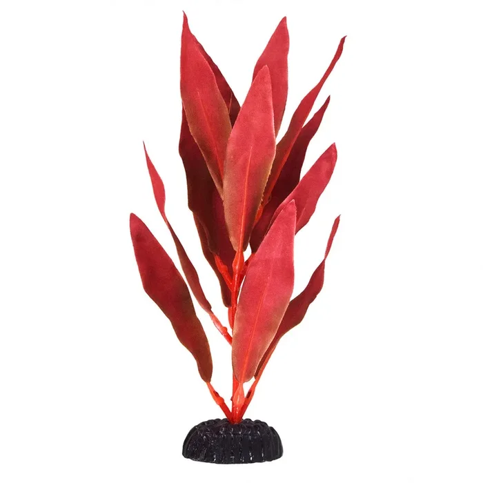 Underwater Treasures Red Hygro – 8″
