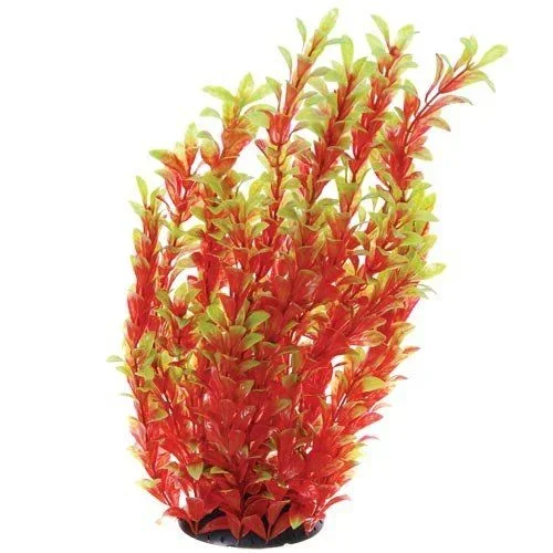 Underwater Treasures Red Ludwigia – 16″