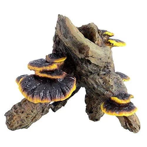 Underwater Treasures Root with Mushroom – Medium