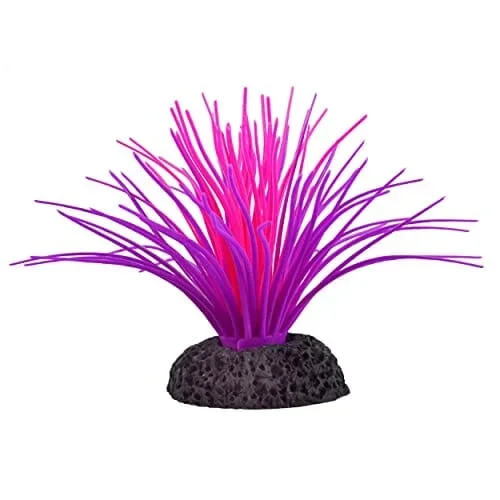 Underwater Treasures Sea Anemone – Pink/Purple