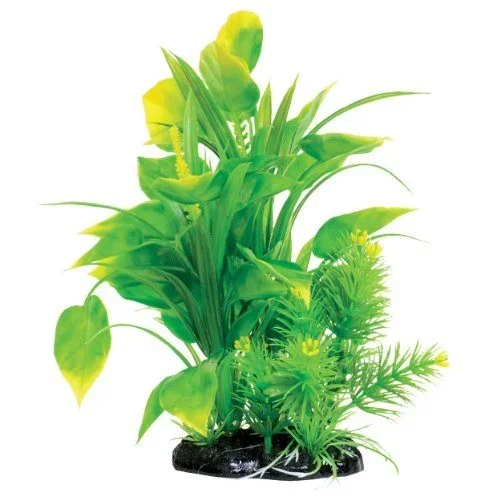 Underwater Treasures Spade Fern – 8.5″