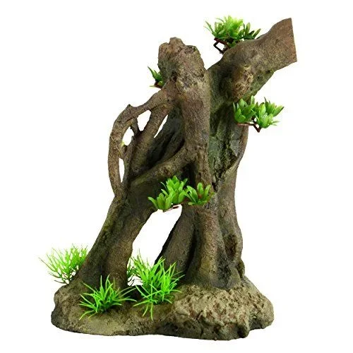 Underwater Treasures Tree Root