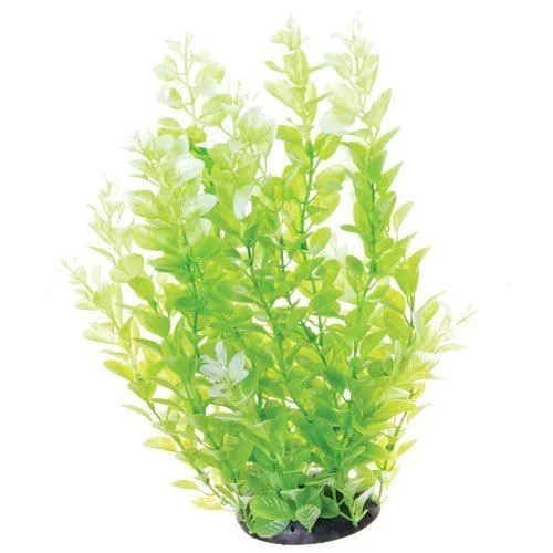 Underwater Treasures White Tipped Cardamine – 12″