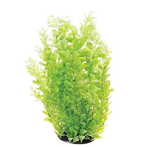 Underwater Treasures White Tipped Cardamine – 16″