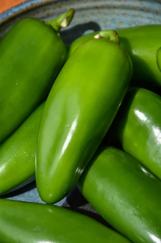 Vegetable,Pepper Jalapeno