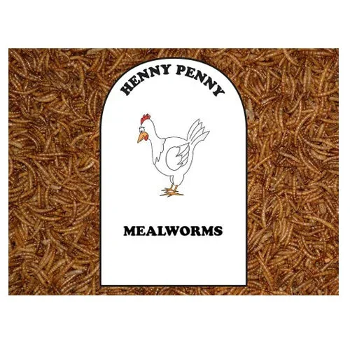 Volkman Seed Company, Volkman Seed Company Mealworms Chicken Food, 1 Each/1.25 lb
