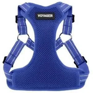 Voyager线束步进弹性可调的宝蓝色XS
