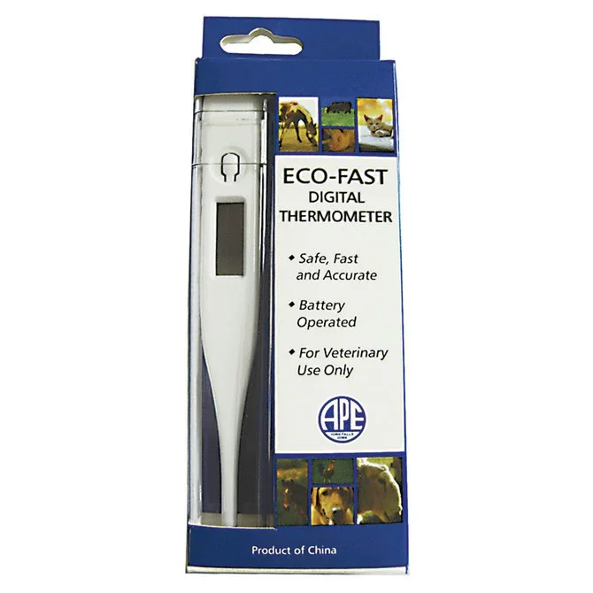 VSI Eco-Fast Digital Thermometer