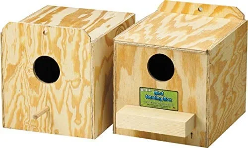 Ware Parakeet Nest Box – Reg