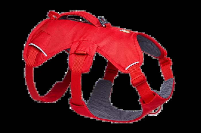 Web Master™ Dog Harness with Handle