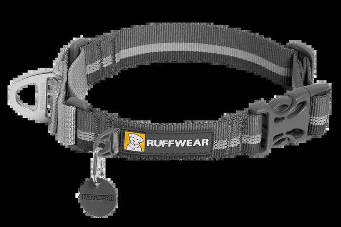 Web Reaction™ Martingale Dog Collar With Buckle