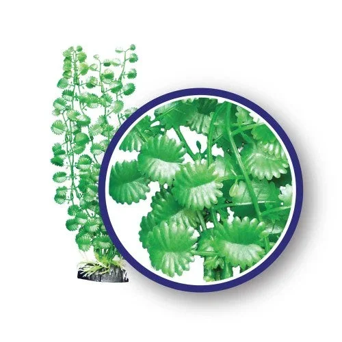 Weco, Weco Products Freshwater Series Japanese Cress Aquarium Plant, Green, 1 Each/12 in