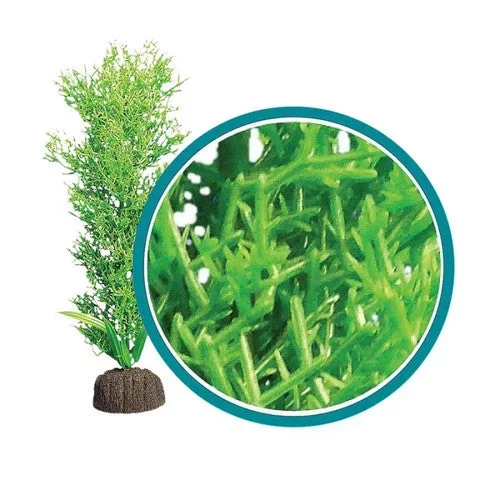 Weco, Weco Products Marine Pro Series Bushy Kelp Aquarium Plant, Green, 18 Inches