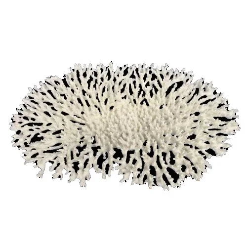 Weco, Weco Products South Pacific Coral Oval Tabletop Ornament, White, 1 Each/Large
